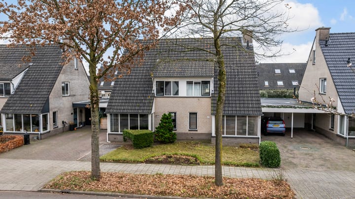 Foto 41 van Bijenkorf 55