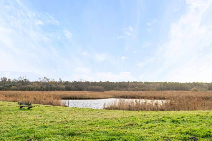 Foto 27 van Bremstraat 59