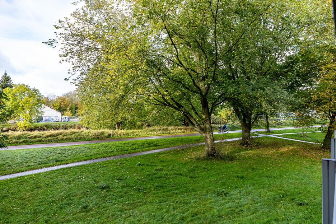 Foto 17 van Watermanstraat 22