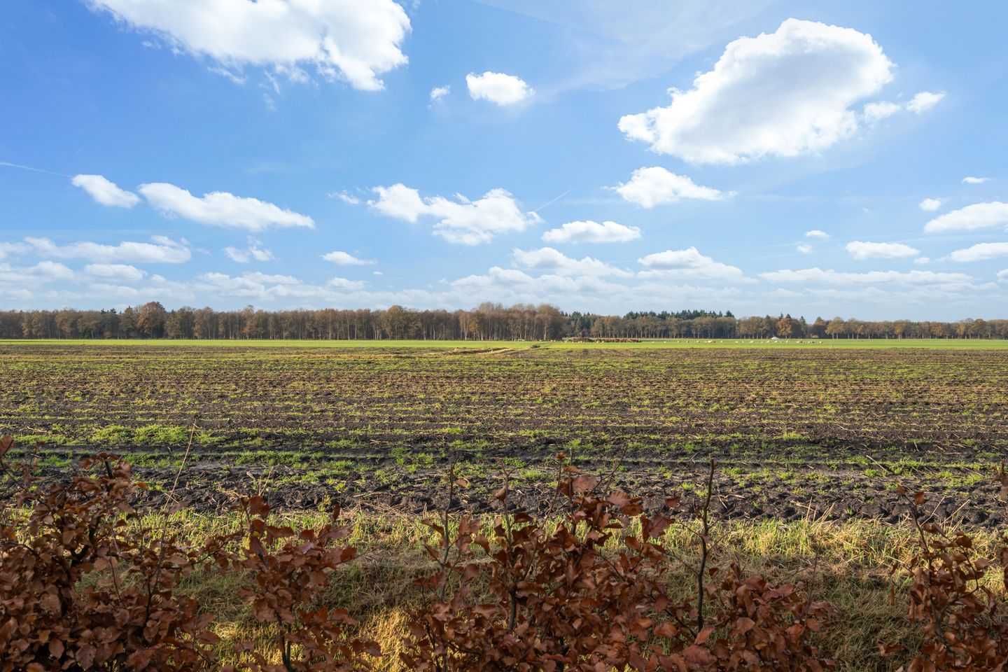 Photo 40 of Nieuwe weg 10