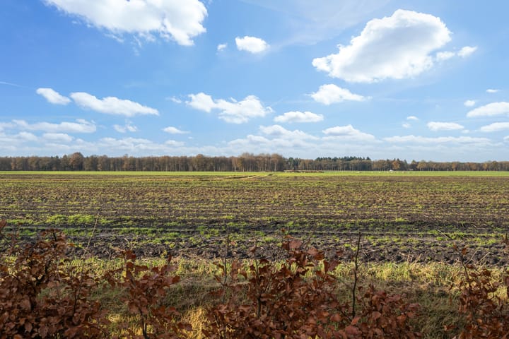 Foto 40 van Nieuwe weg 10