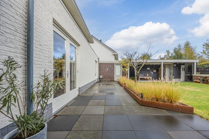 Photo 38 of Kattestart 16