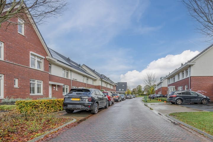 Photo 53 of Kattestart 16