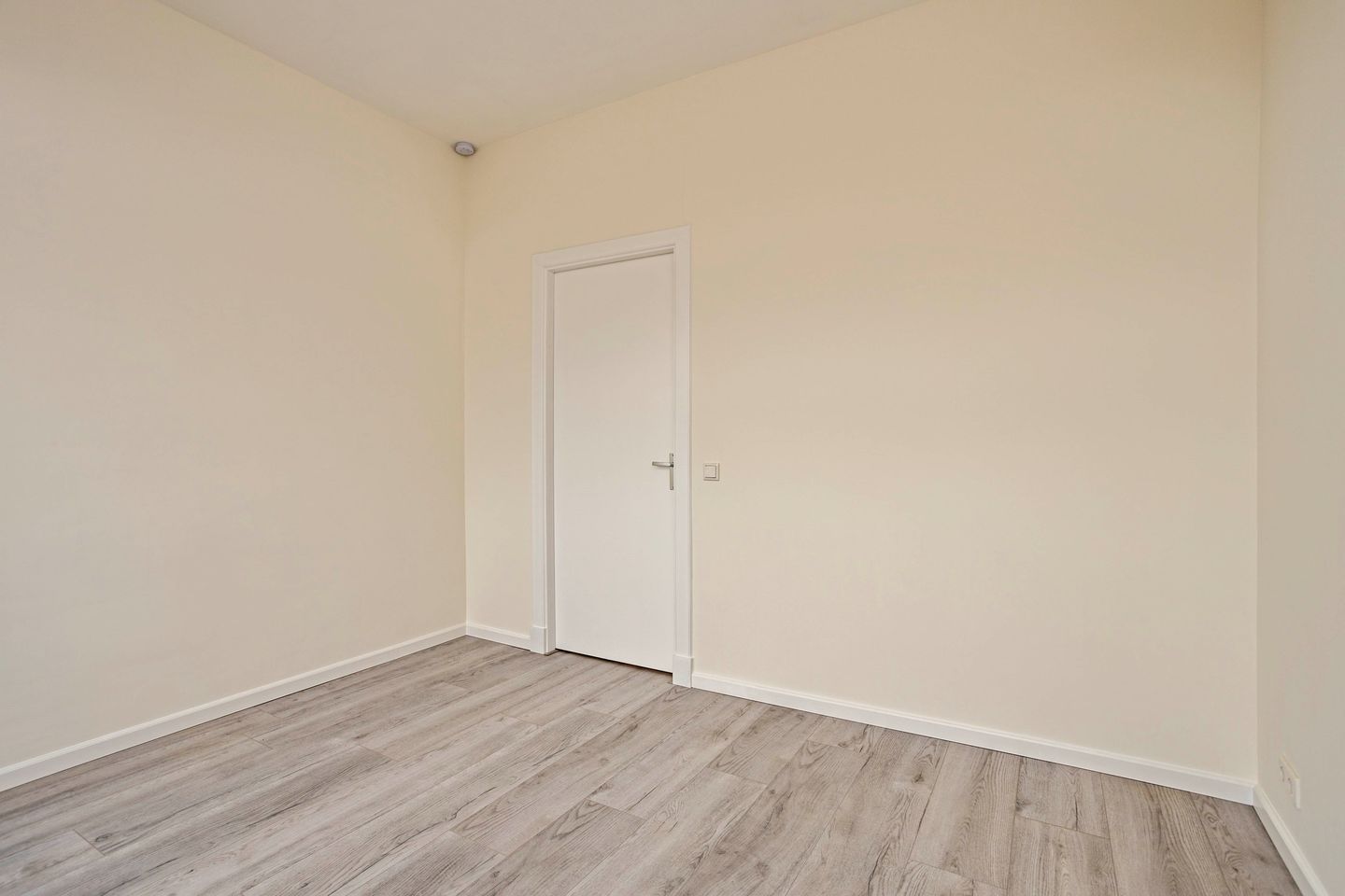 Photo 20 of Arnhemsestraat 51-A