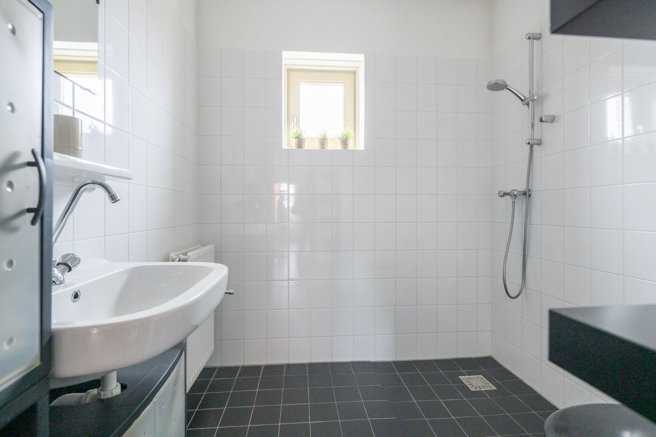 Photo 27 of Fossa Iberica 49