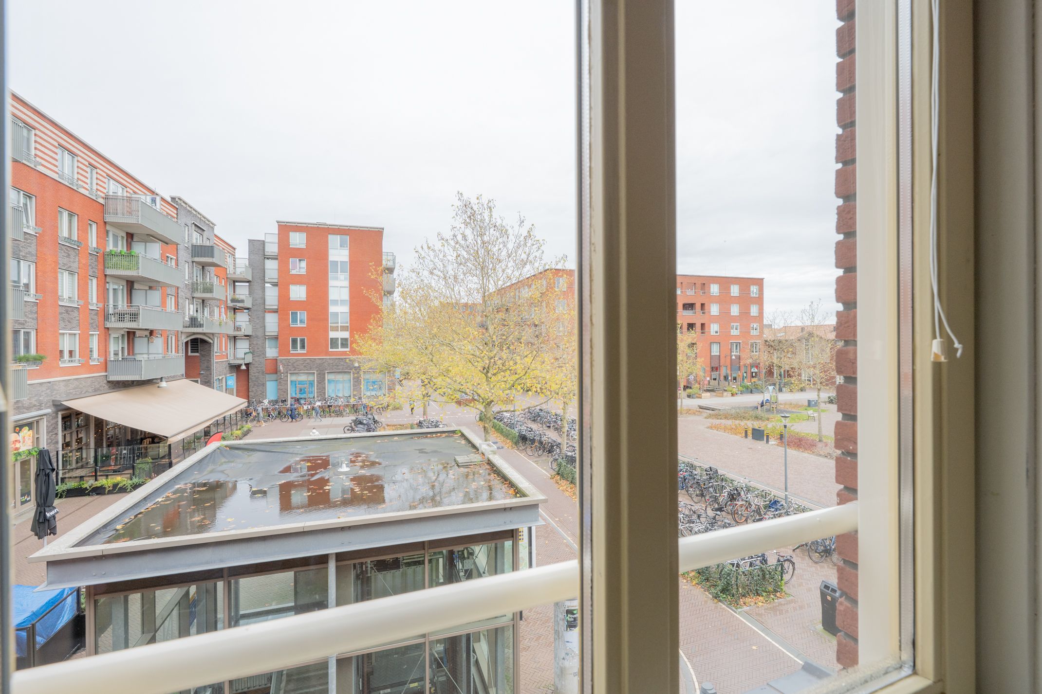 Photo 30 of Fossa Iberica 49