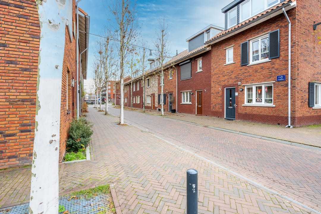 Photo 46 of Fossa Iberica 49