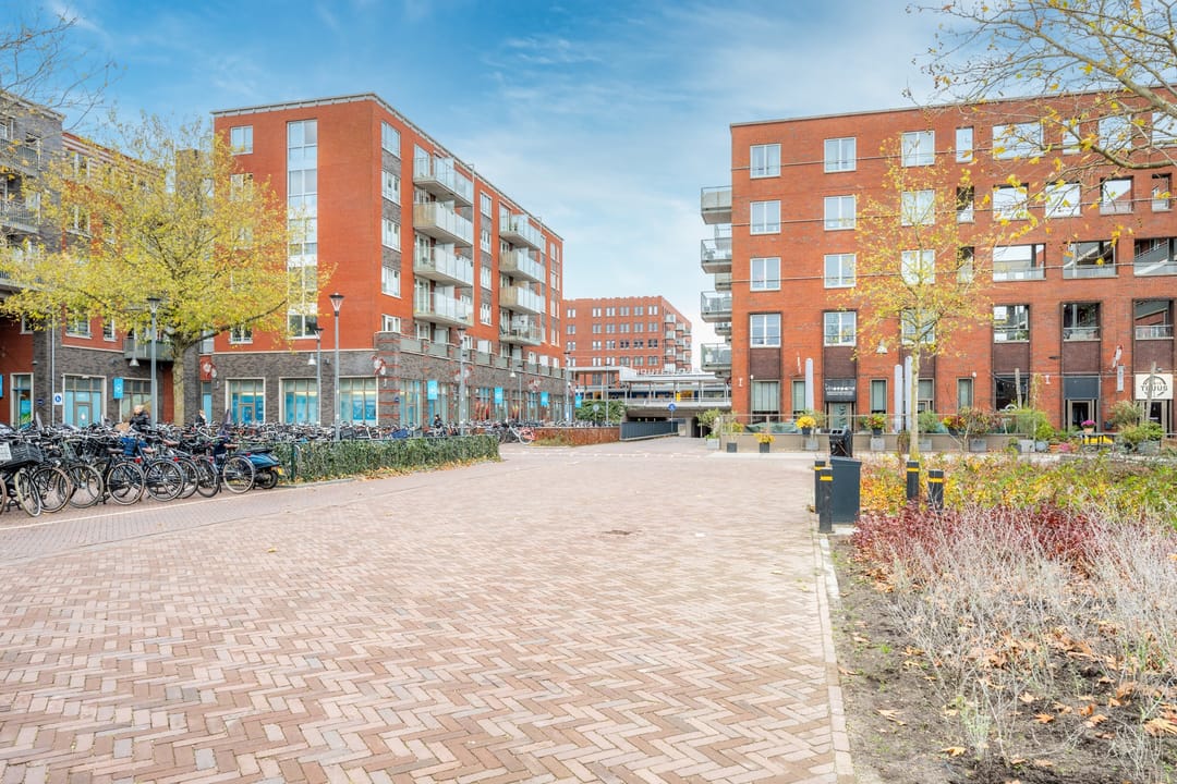 Photo 52 of Fossa Iberica 49