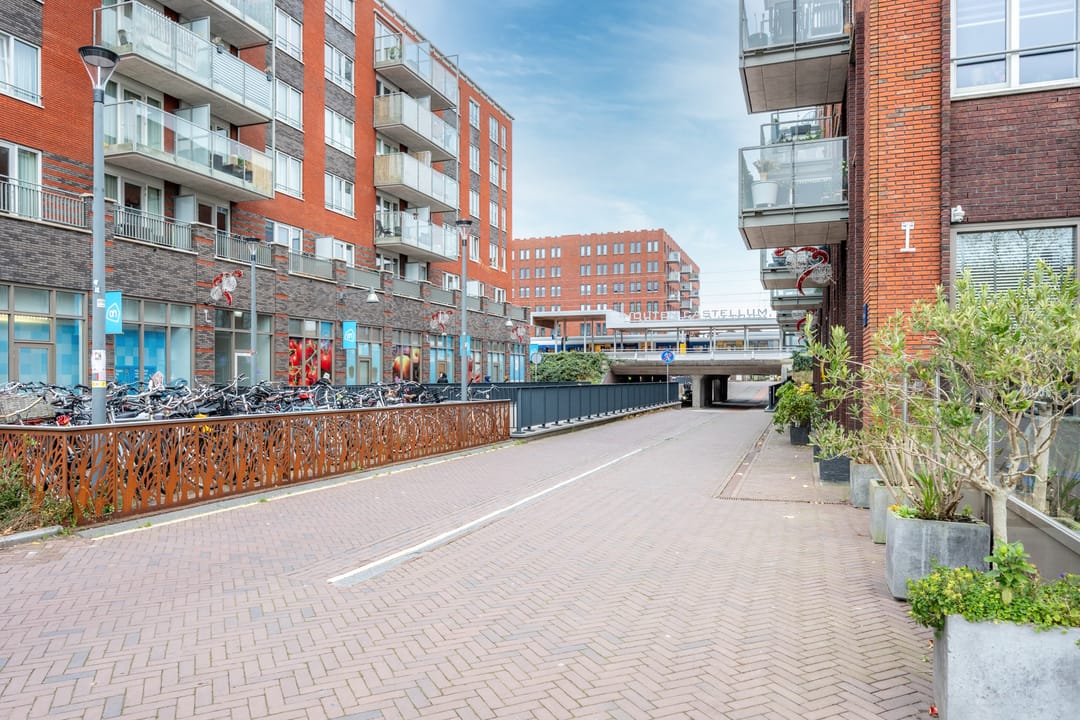 Photo 53 of Fossa Iberica 49