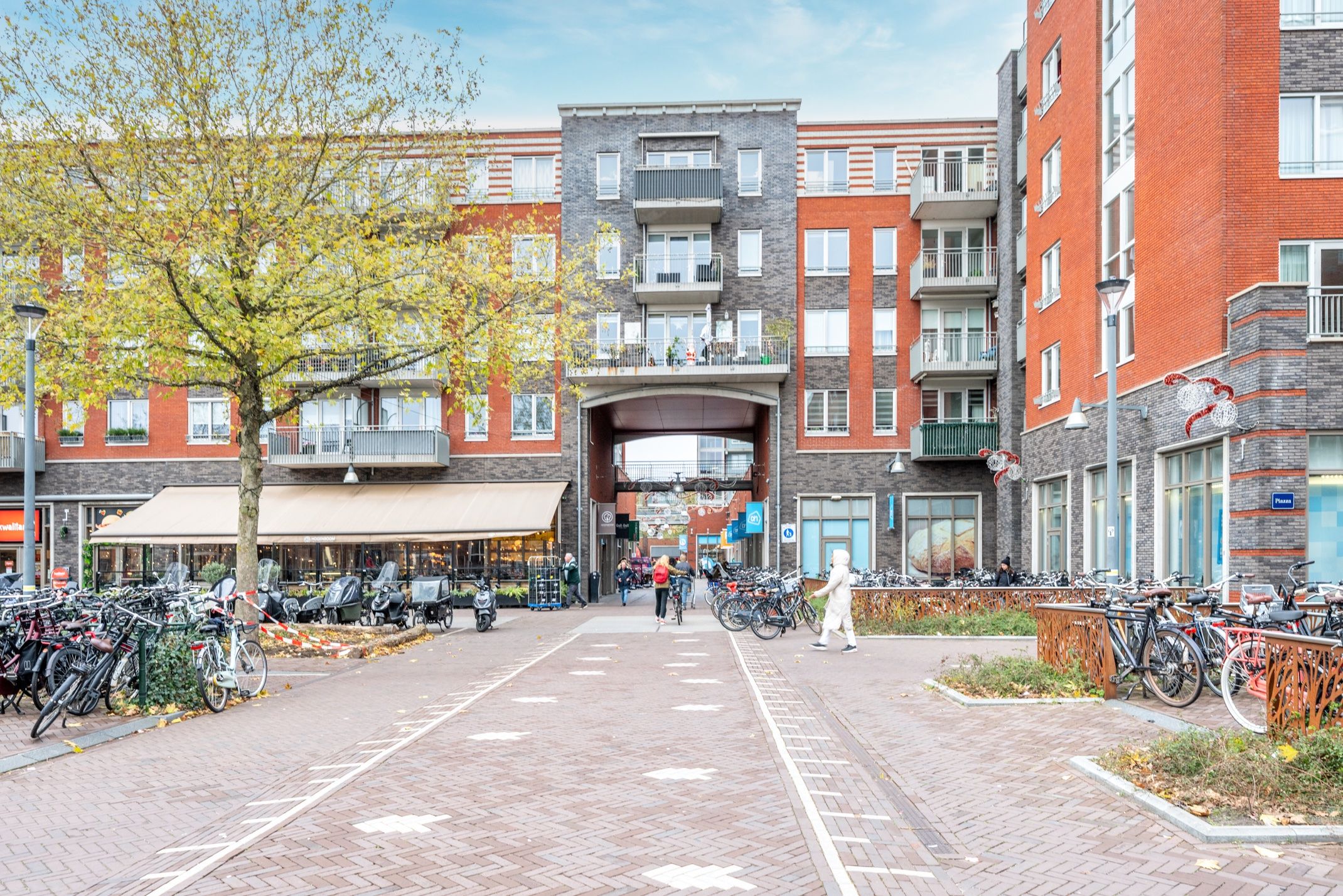 Photo 54 of Fossa Iberica 49