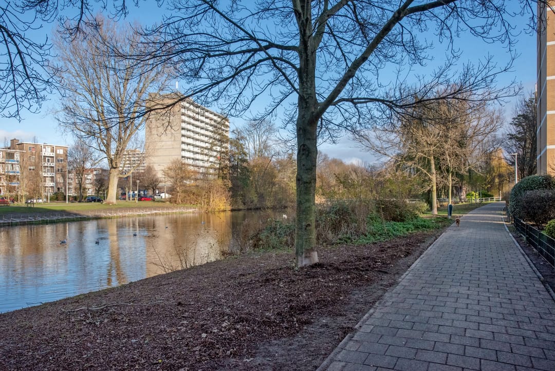 Foto 31 van Louis Davidsstraat 769