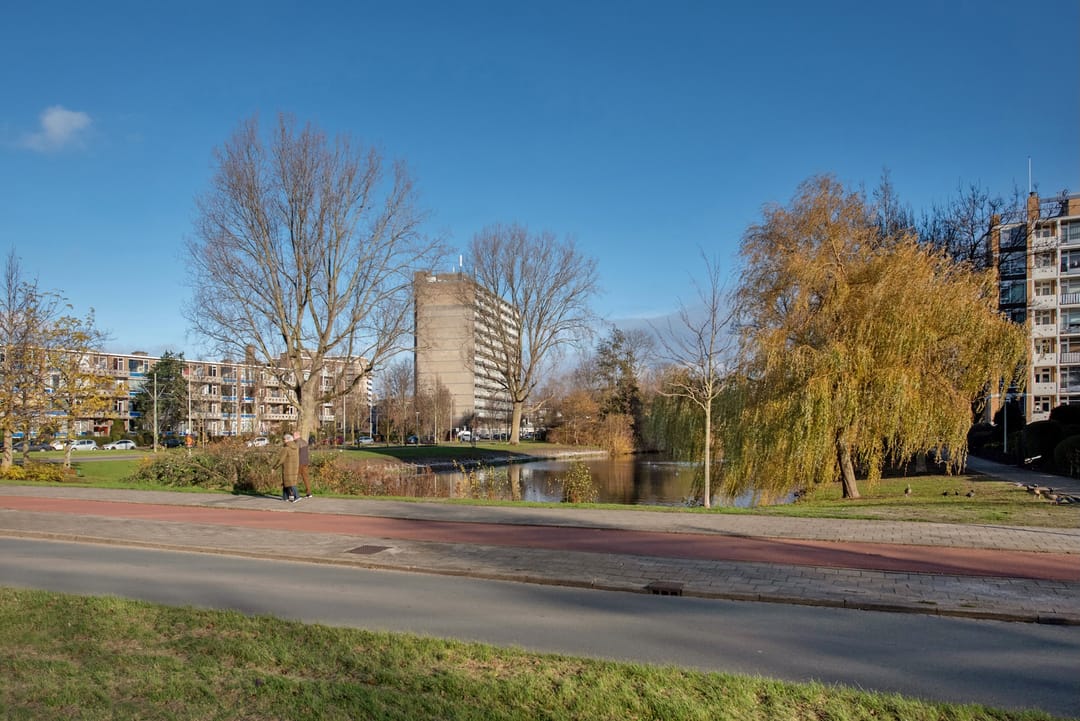 Foto 32 van Louis Davidsstraat 769