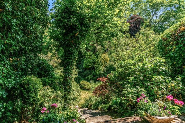 Foto 12 van Van Dorpstraat 26