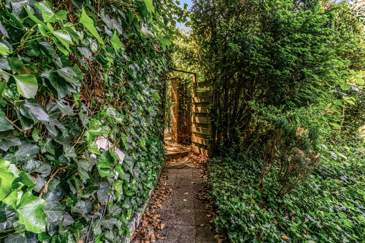 Foto 15 van Van Dorpstraat 26