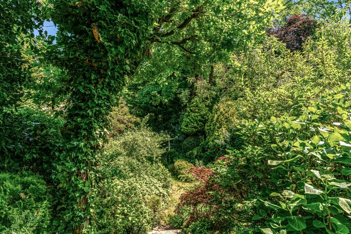 Foto 60 van Van Dorpstraat 26