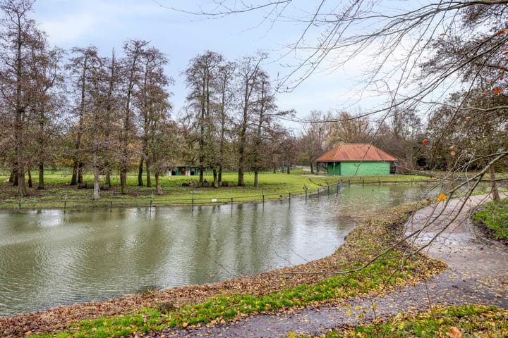 Photo 26 of Binnenluiendijk 30