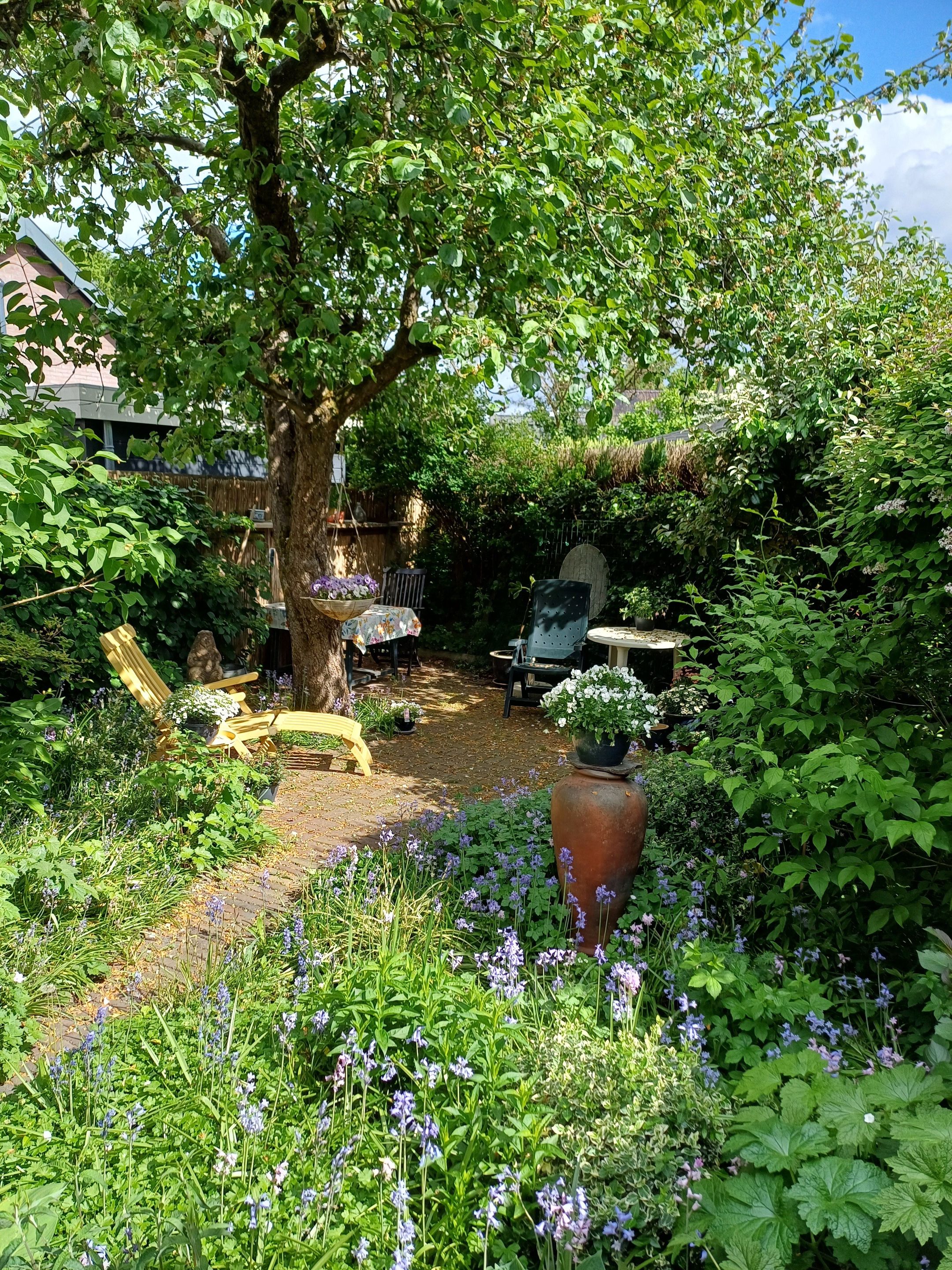 Photo 33 of Deventerstraat 204