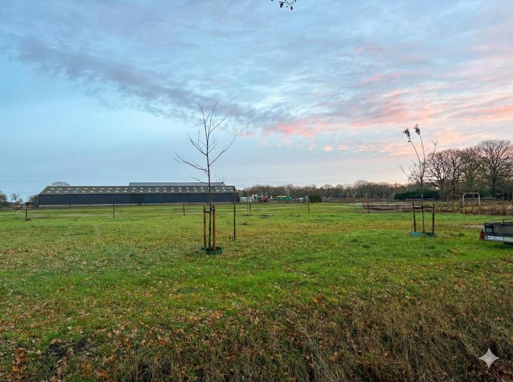 Foto 4 van Korte Zeilkens