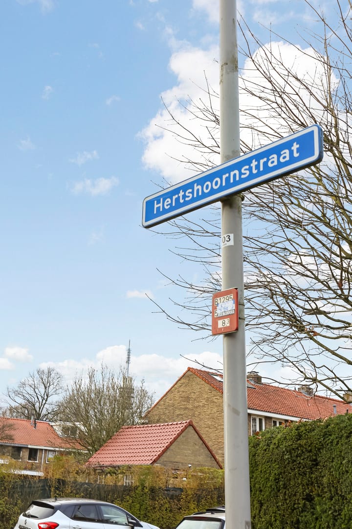 Foto 24 van Hertshoornstraat 21