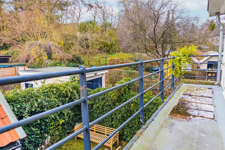 Foto 28 van Hertshoornstraat 21