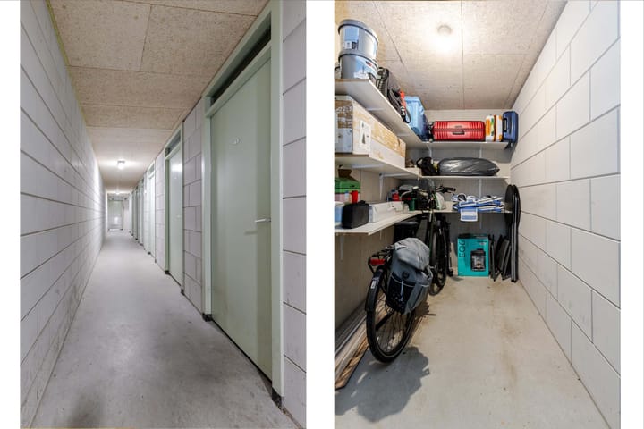 Foto 44 van Carolus Linnaeusborg 33