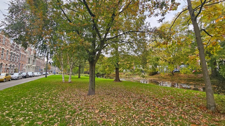 Foto 2 van Provenierssingel 38-A02