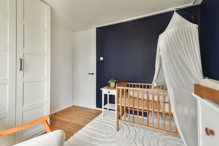 Foto 19 van Govert Flinckstraat 19