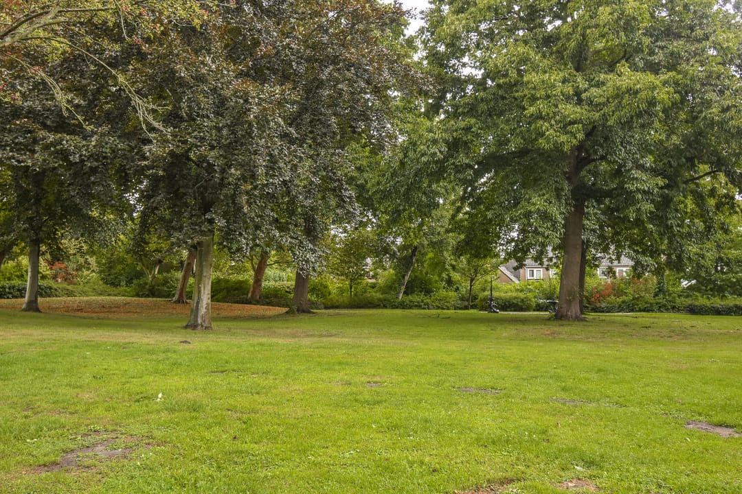 Photo 32 of Govert Flinckstraat 19