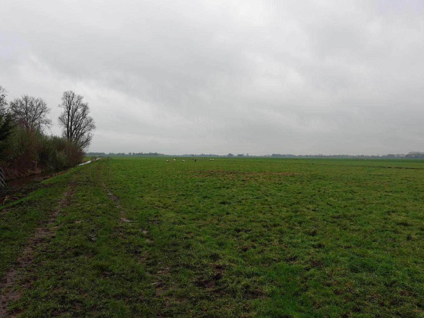 Bekijk foto 2 van Reijerscop