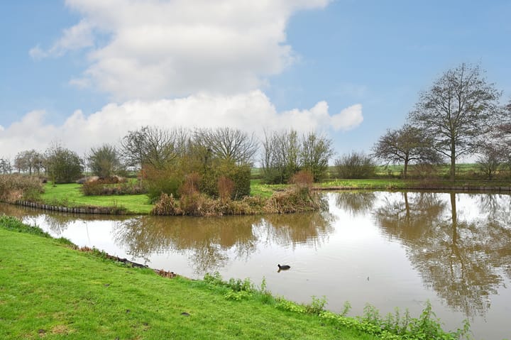 Foto 3 van Zinkschaar 13