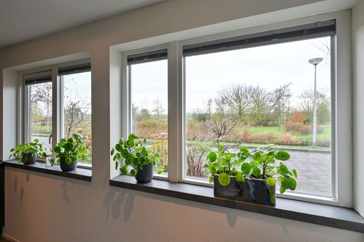 Foto 9 van Zinkschaar 13