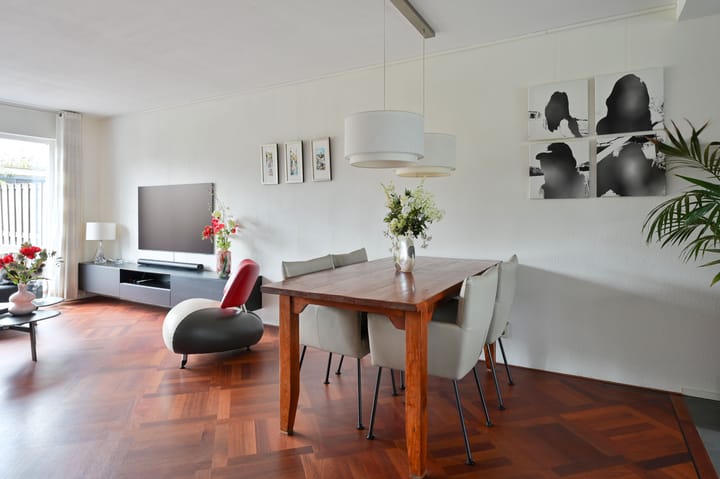 Foto 12 van Zinkschaar 13