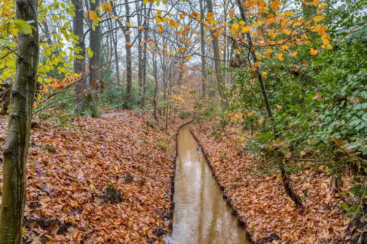 Foto 34 van Chopinlaan 7