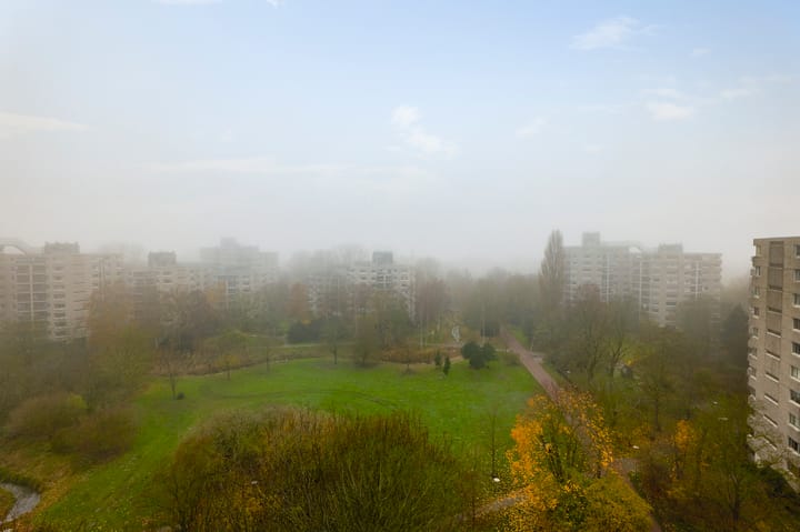 Foto 4 van Groenhoven 264