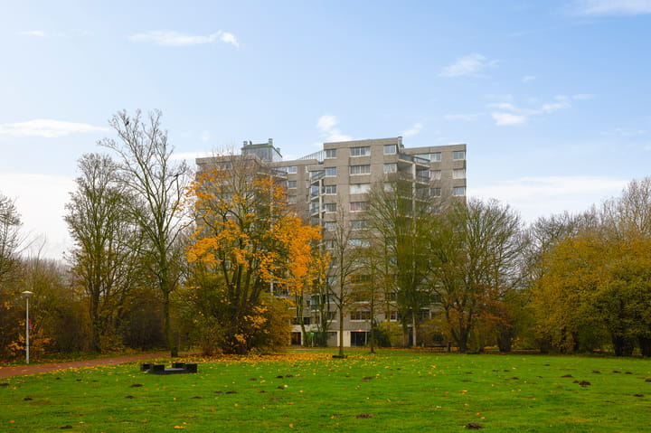 Foto 20 van Groenhoven 264