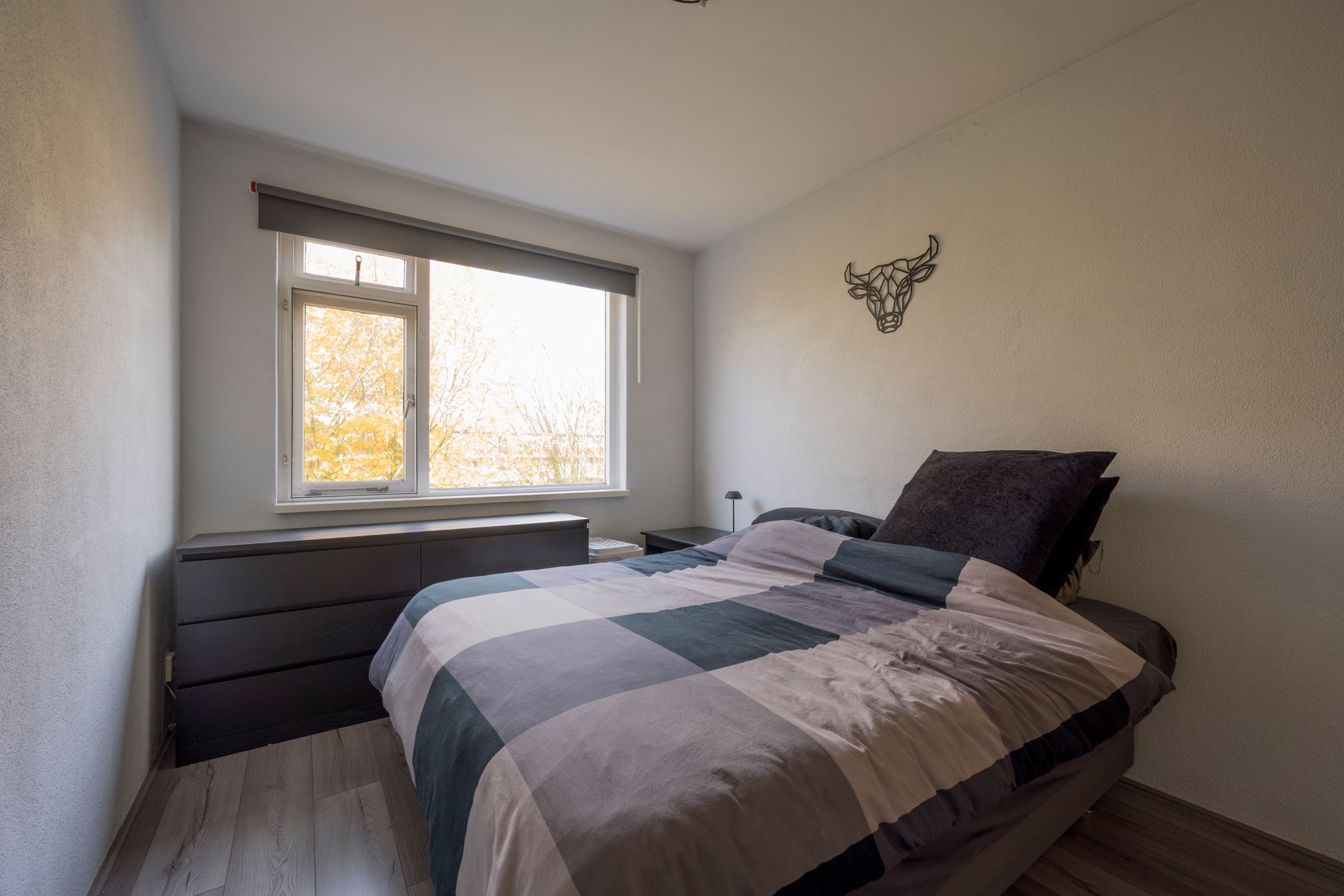 Foto 15 van Wittenburg 15-02