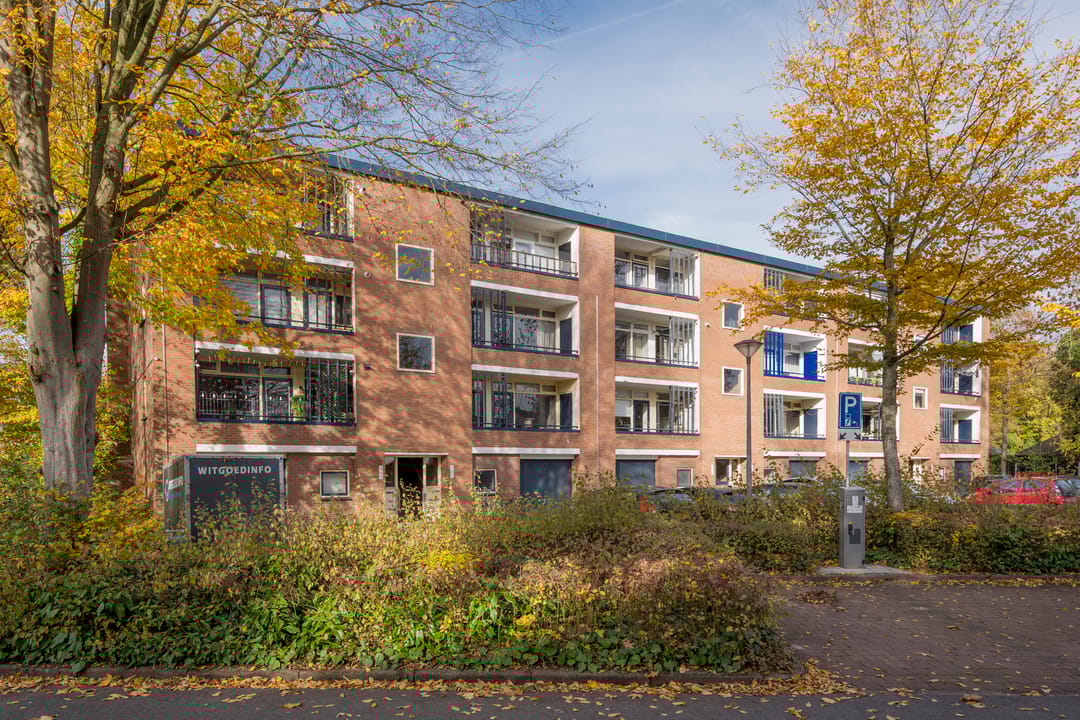 Foto 23 van Wittenburg 15-02