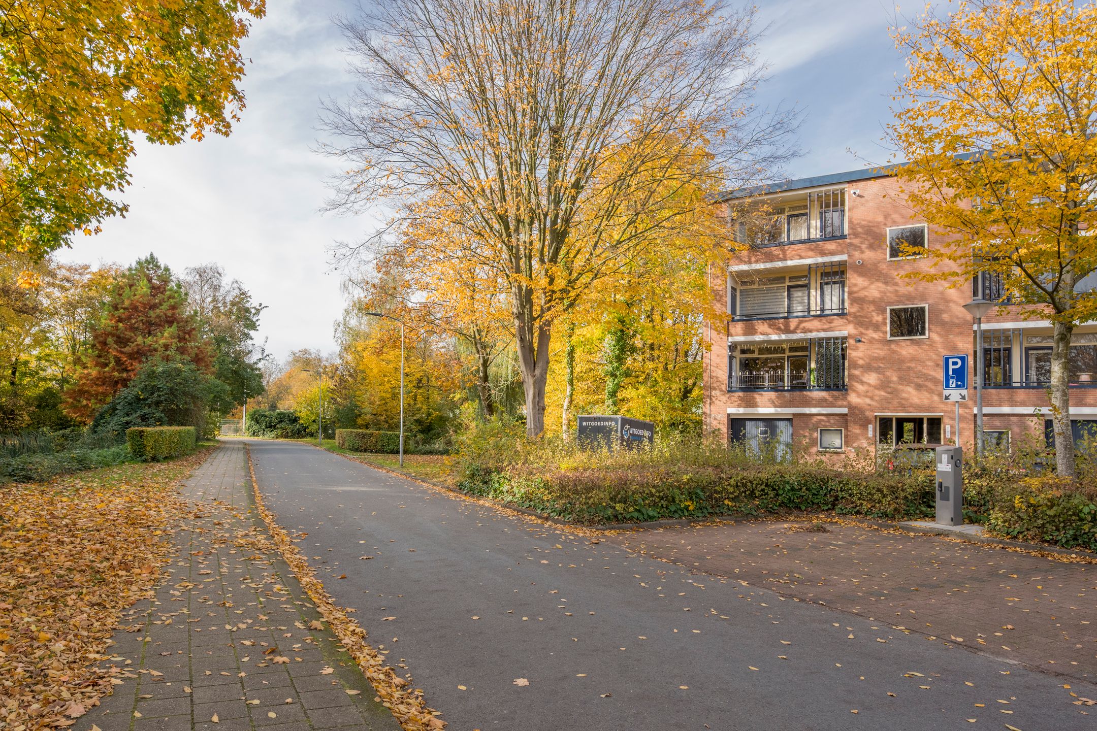 Foto 24 van Wittenburg 15-02