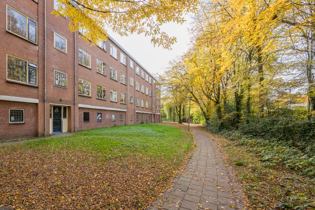 Foto 28 van Wittenburg 15-02