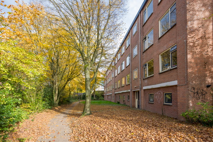 Foto 27 van Wittenburg 15-02