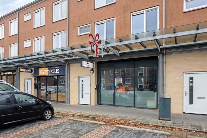 G.J. van Heekstraat 249