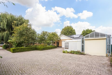 Groeneveld 1-B tertiary image