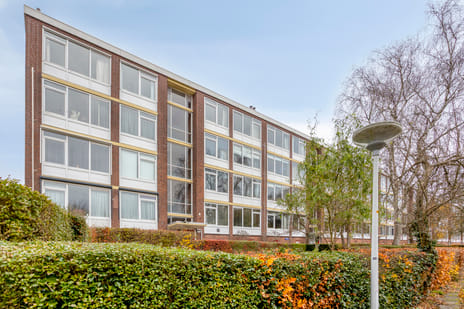 Verdistraat thumbnail