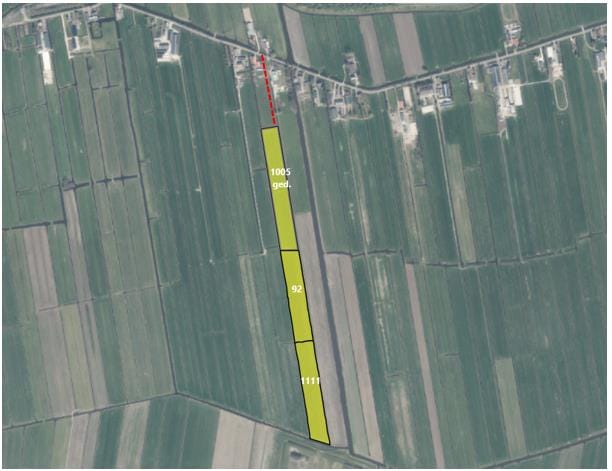 Bekijk foto 1 van Reijerscop