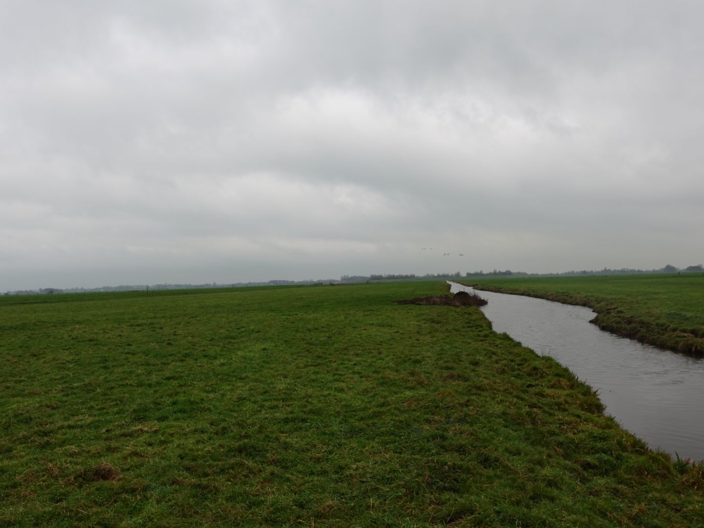 Bekijk foto 3 van Reijerscop