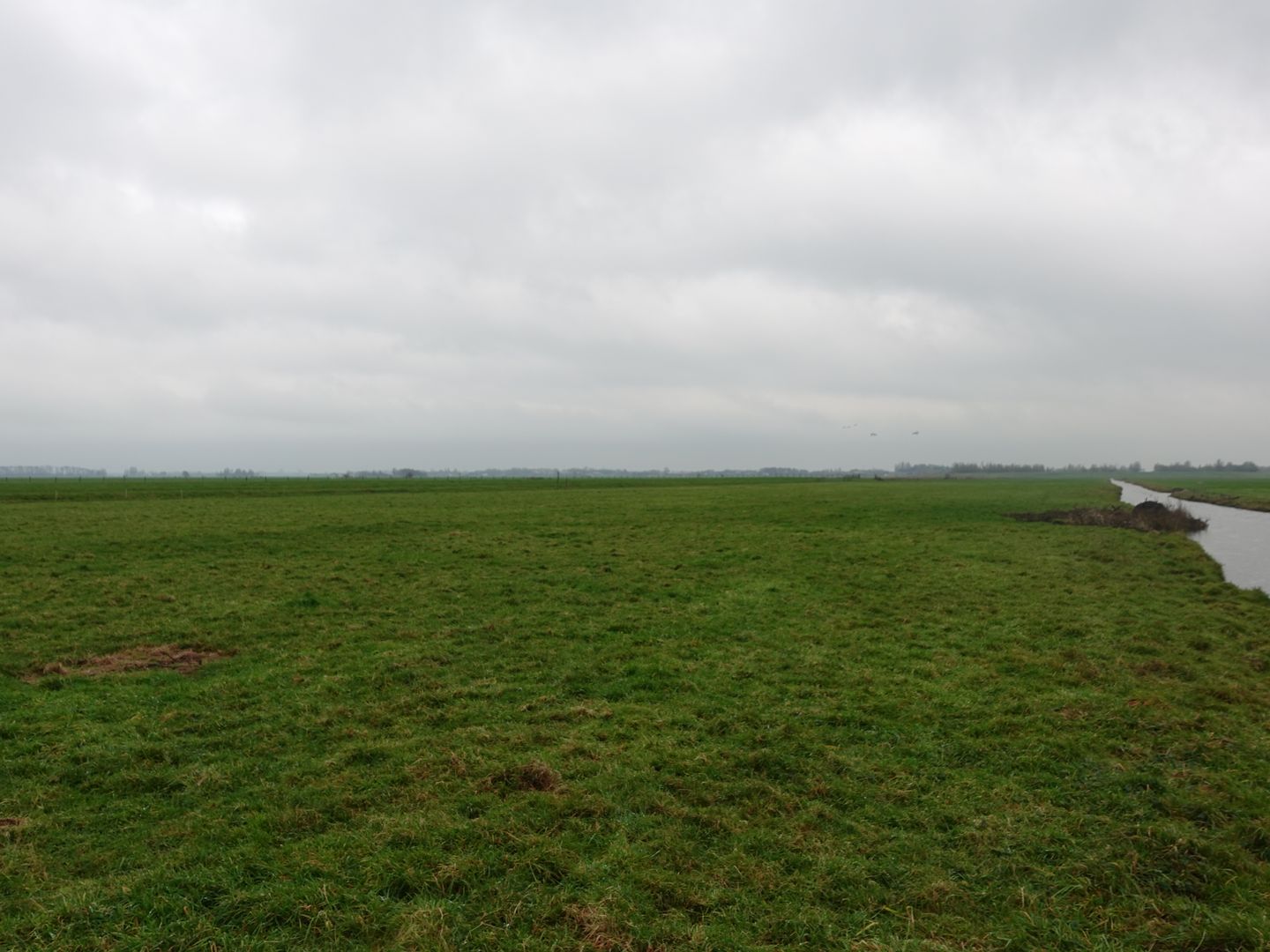 Bekijk foto 4 van Reijerscop