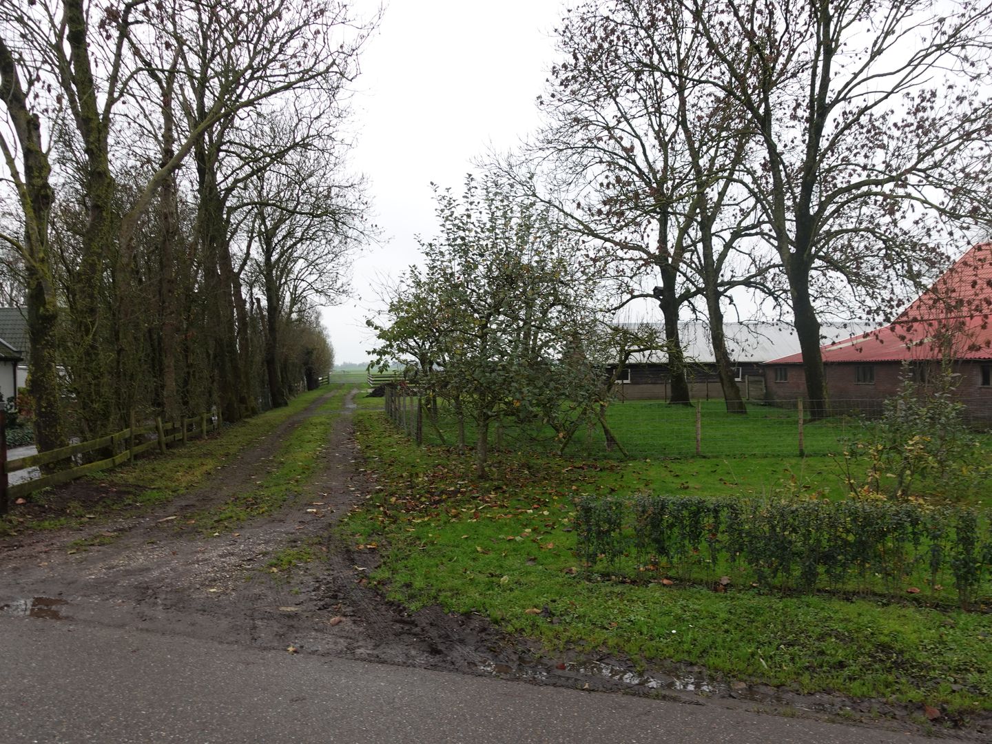 Bekijk foto 5 van Reijerscop