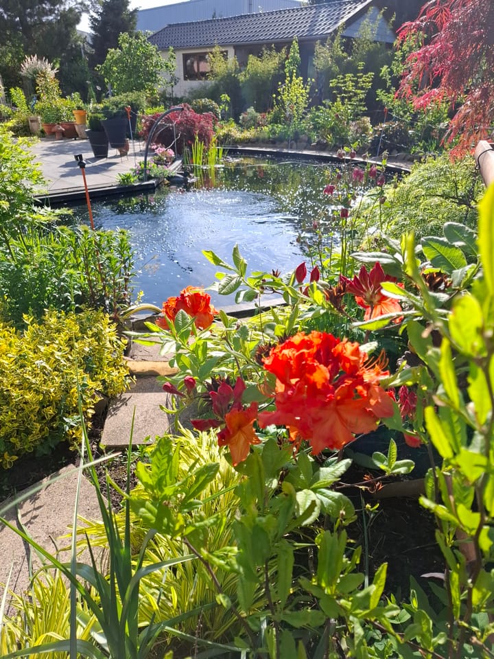 Foto 8 van Uilenbroekstraat 72