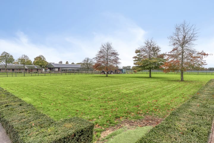 Photo 45 of Nistelrodesedijk 19