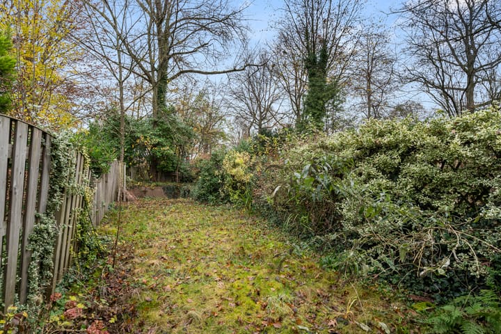 Photo 41 of Tarthorst 659